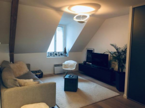 Annecy centre - 3 chambres - 90m2 5 min du lac